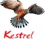 Kestrel Liner logo